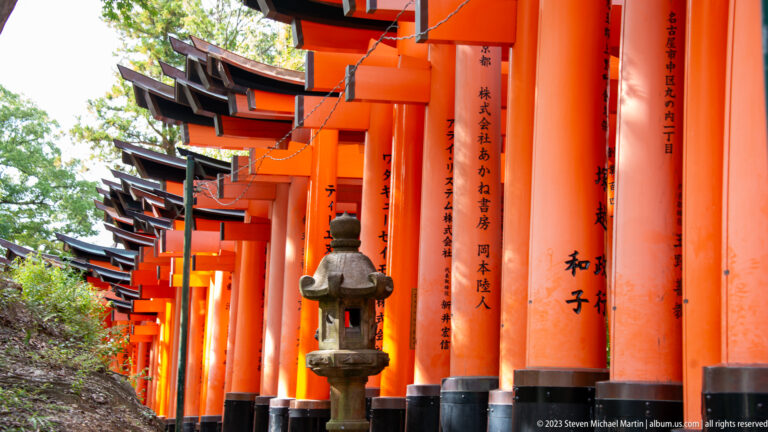 Stone lantern beside a corridor of closely spaced vermilion torii with donor inscriptions.