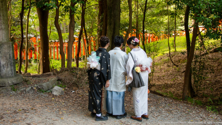 Three visitors in kimono overlooking forested torii paths.