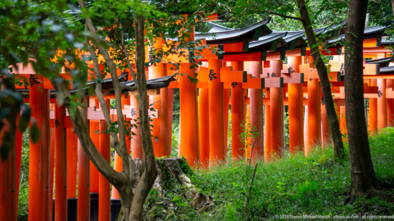 Vermilion torii viewed through trees on a forested hillside.