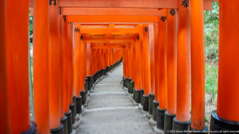Empty curving corridor of closely spaced vermilion torii.