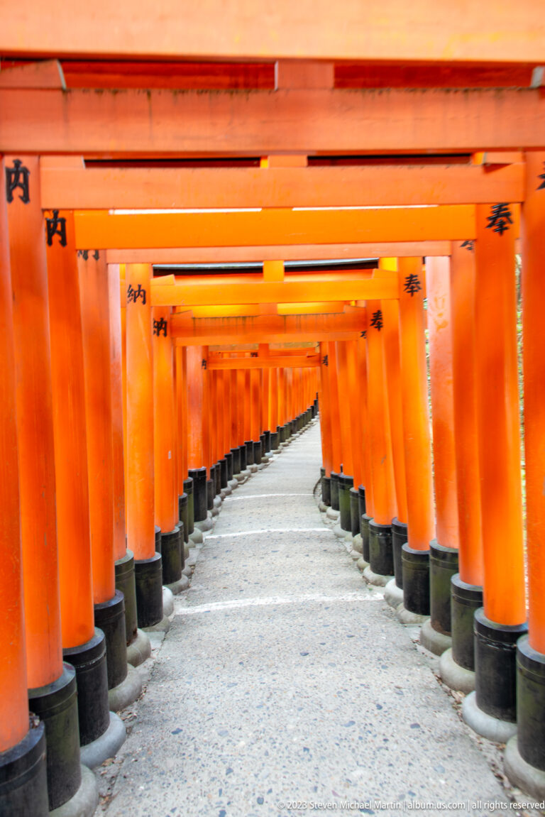 Long perspective through successive vermilion torii along a curving path.