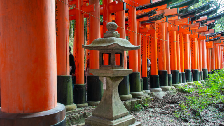 Carved stone lantern beside an exterior row of inscribed vermilion torii with vegetation at their bases.