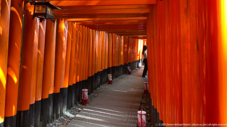 Sunlit passage through closely spaced vermilion torii.