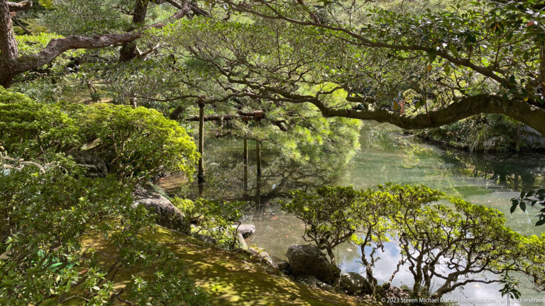 Garden pond bordered by pines, shrubs, and stone edging.
