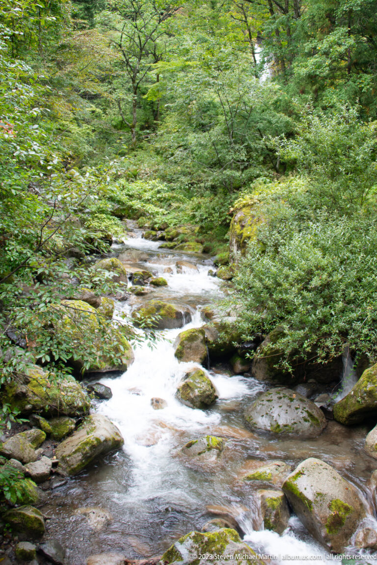 Clear stream winding through mossy rocks beneath dense green woodland.