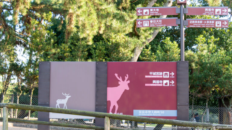 Multilingual directional signs with deer graphics pointing toward destinations in Nara Park.