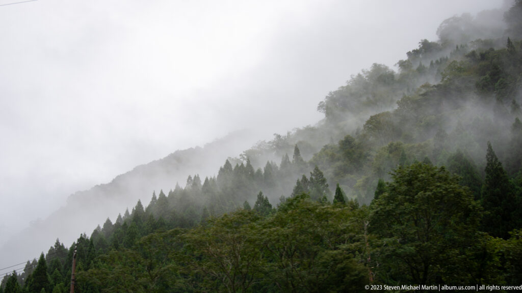 Mist clings to steep conifer-covered mountains, with dark trees in the foreground and pale cloud obscuring the upper slopes.