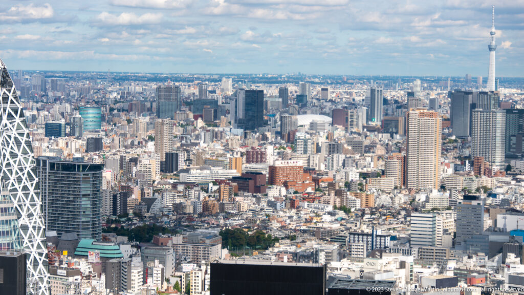 Wide Tokyo panorama with the distant Tokyo Skytree at right and part of the Cocoon Tower at left.