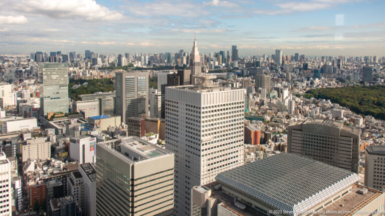 Elevated Shinjuku view with government buildings, a broad wooded area, and distant towers under window reflections.