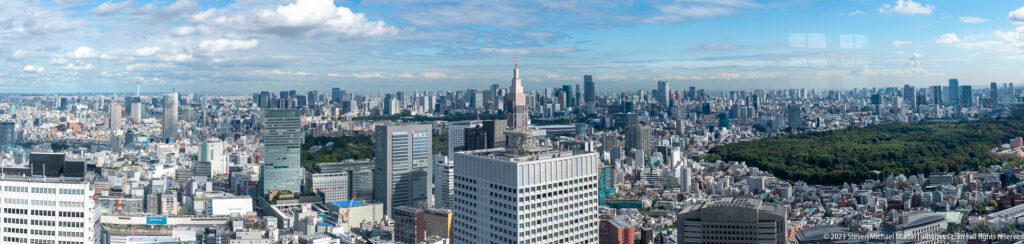 Wide Tokyo cityscape with dense buildings, a wooded area, a slender mast, and reflections in the viewing glass.