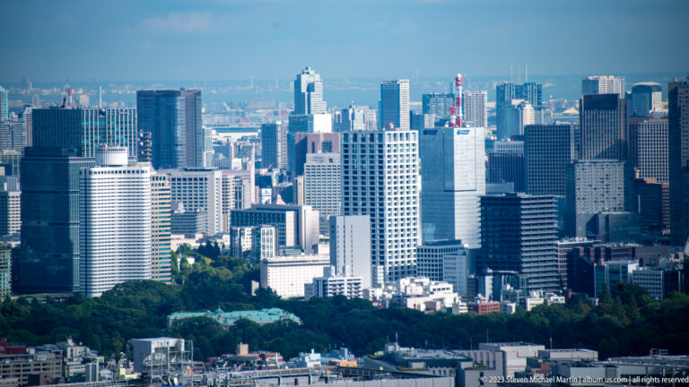 Telephoto view of modern office towers rising behind a broad band of mature green trees.