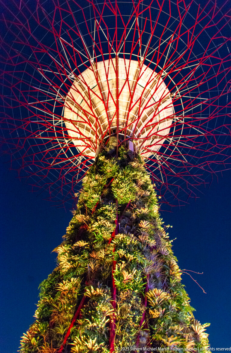 Steep upward view along a planted Supertree trunk to its glowing circular canopy and red ribs.