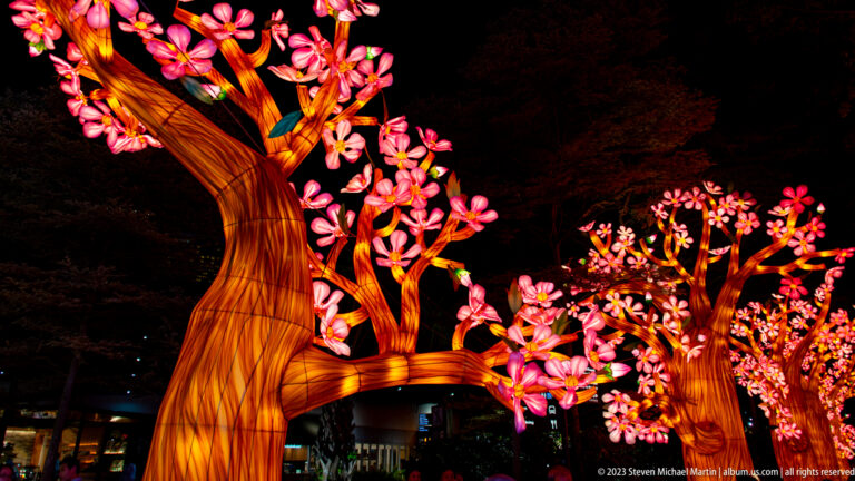 Avenue of glowing amber tree lanterns covered with pink blossoms in a dark nighttime garden.