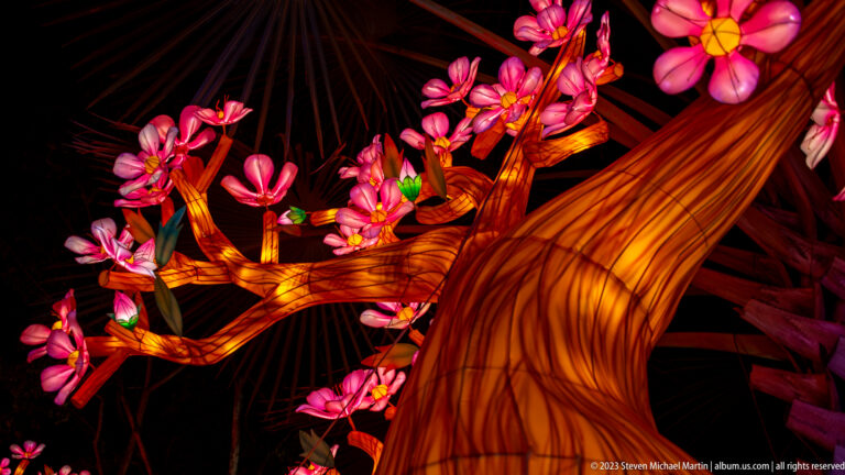 Close view of twisting illuminated amber branches covered with clusters of bright pink blossom lanterns.