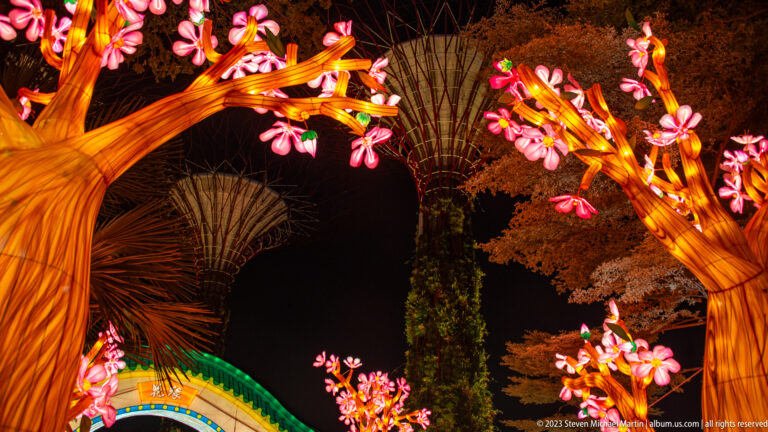 Pink blossom lantern branches frame a tall Supertree rising in the dark background.