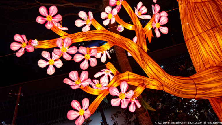 Close-up of glowing pink flower lanterns attached to thick twisting amber branches against black.
