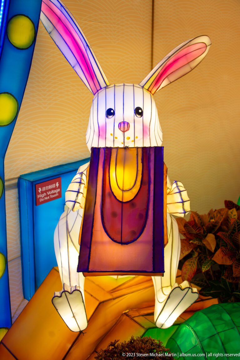 Seated white rabbit lantern with long pink-lined ears and a square panel held against its body.