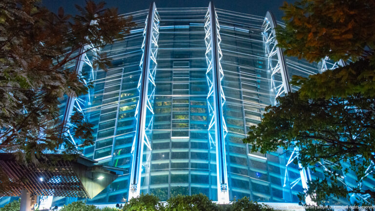 Tall glass-and-steel building illuminated blue-white above trees at Gardens by the Bay at night.