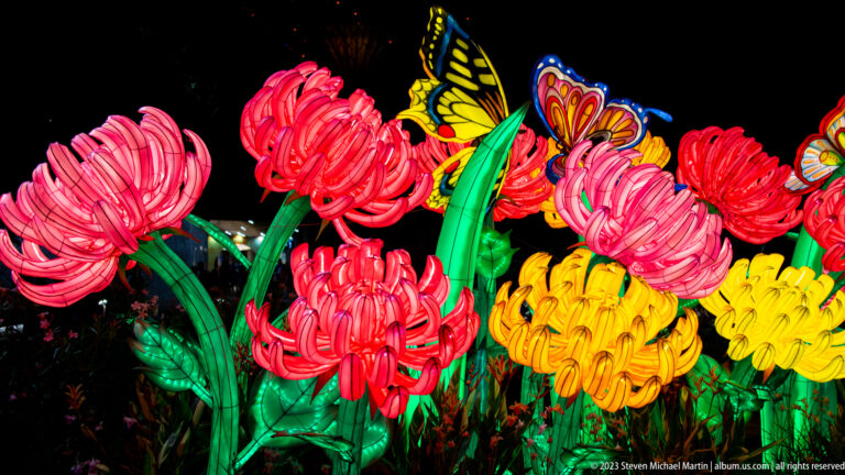 Oversized red, pink, and yellow flower lanterns with colorful butterfly figures against a black night sky.