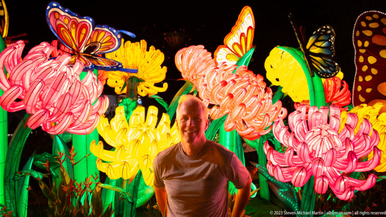 Adult man posing before oversized glowing red, yellow, and pink flower lanterns with butterflies at night.