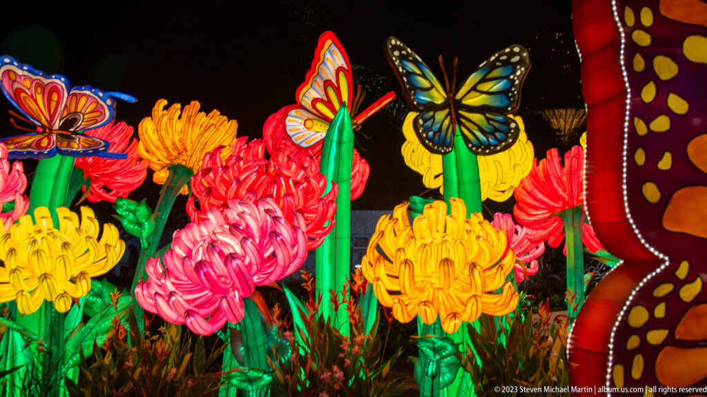 Bright flower lanterns with several butterfly figures against a dark night background.