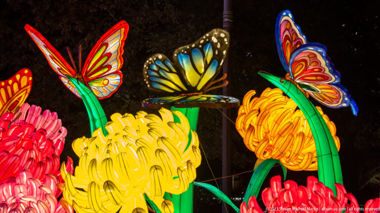 Three glowing butterfly lanterns hovering above oversized yellow and pink flowers.