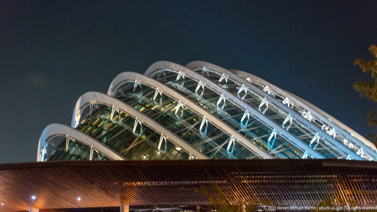 Curved glass-and-steel conservatory roofs illuminated above a dark canopy at night.