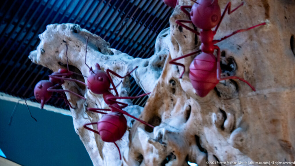 Large red ant sculptures climbing a pale textured surface beside dark structural slats.