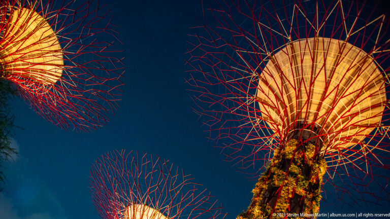 Upward night view of several glowing Supertree canopies with red radiating branches overlapping in the sky.