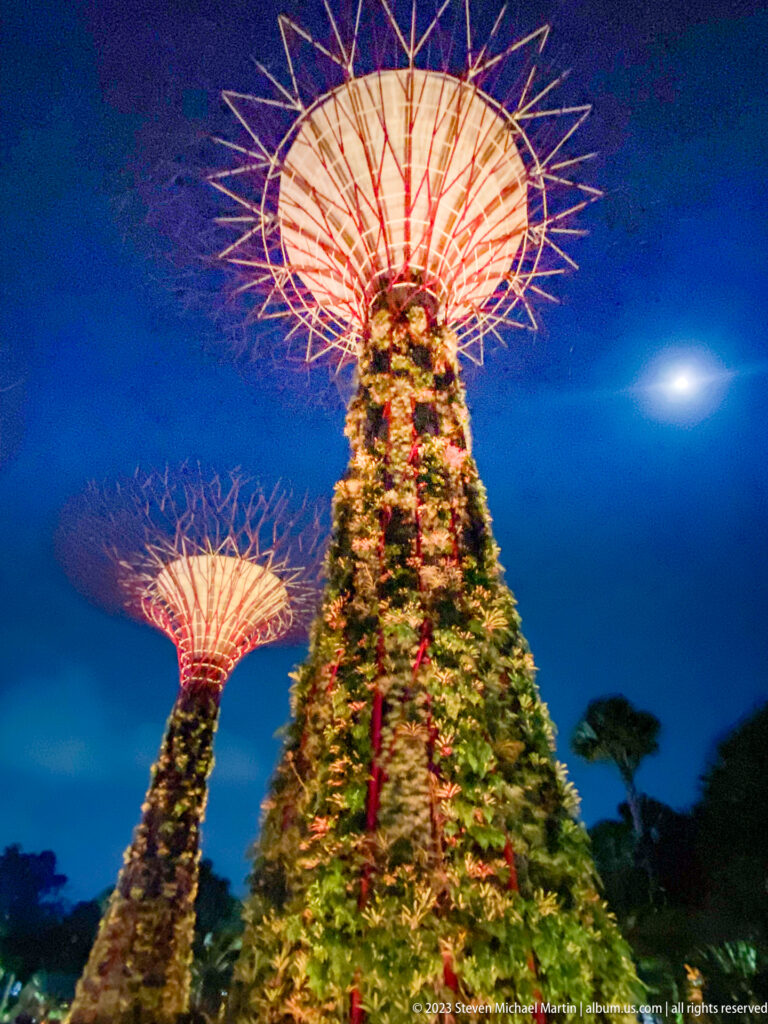 Two illuminated Supertrees rising against a blue night sky with the moon at right.