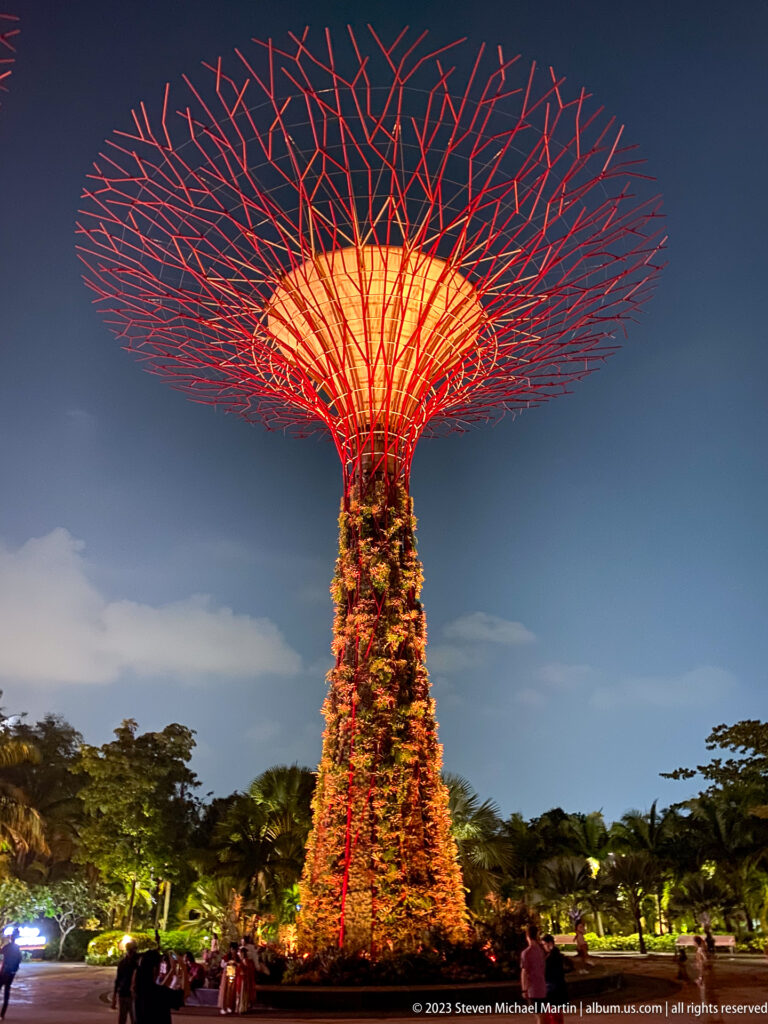 Full-height illuminated Supertree above landscaped gardens and small visitors at night.