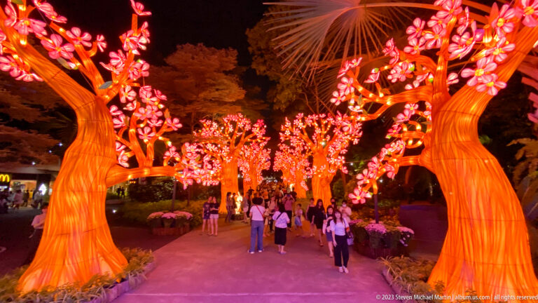 Visitors walking beneath rows of glowing amber trees with pink blossoms.