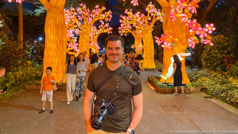 Adult man with a camera standing on a path lined by glowing blossom trees.