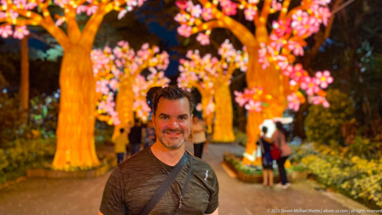 Adult man in sharp focus with blossom-tree lanterns softly blurred behind.