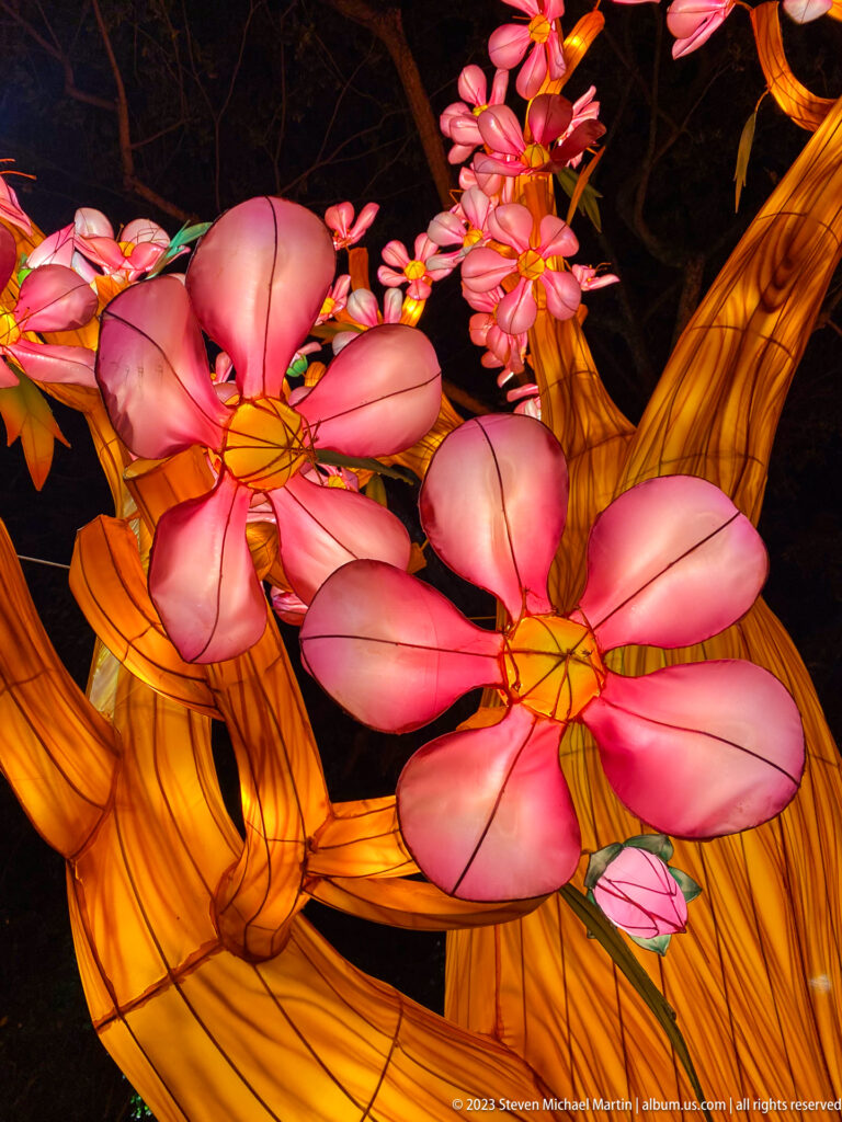 Close-up of large glowing pink flower lanterns on twisting amber branches.