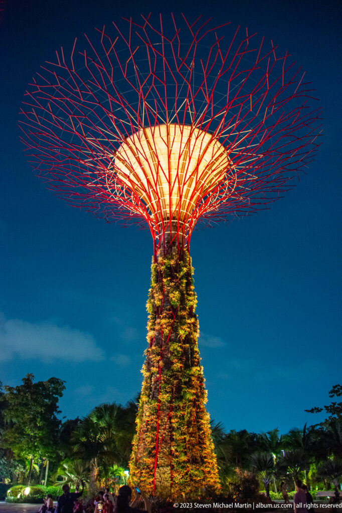 Full-height illuminated Supertree rising above dark treetops beneath a deep blue night sky.