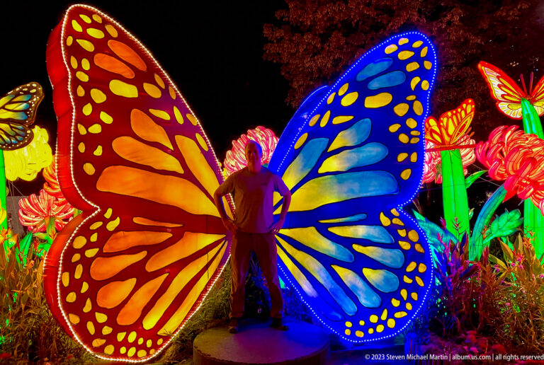 Adult visitor standing between giant orange-red and blue-yellow illuminated butterfly wings.