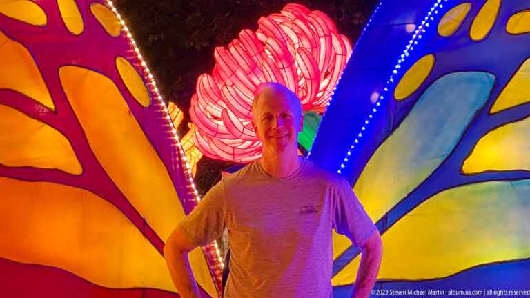 Adult visitor posing close to giant illuminated butterfly wings with a pink flower lantern behind.