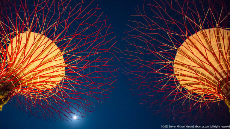 Two glowing Supertree canopies frame a small bright moon in a deep blue night sky.
