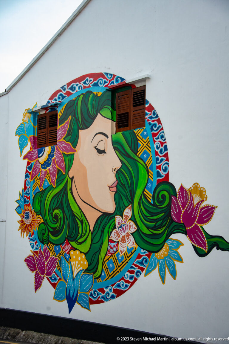 Colorful profile mural with green hair, flowers, patterned border, and two shuttered windows.