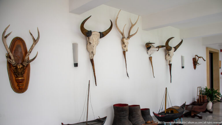 Mounted horned animal trophies above model boats and dark vessel-like objects against a white wall.