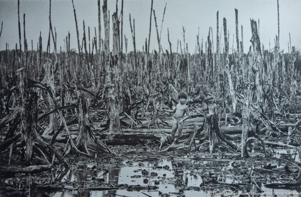 Person walking through flooded ground in a devastated forest of bare trunks.