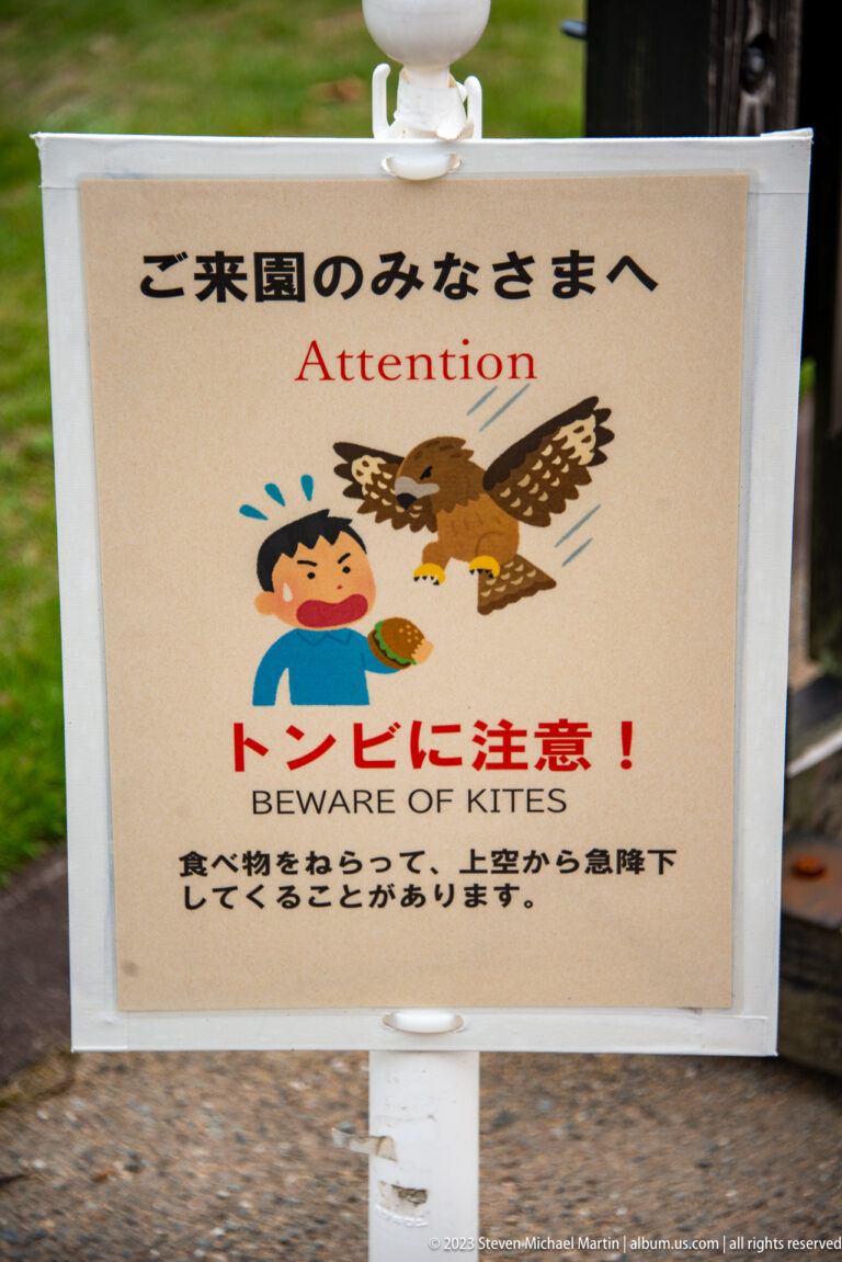 Japanese and English warning sign reading “Beware of kites,” with a cartoon bird diving toward food.