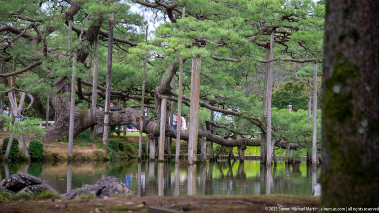 Old pine trees with wooden branch supports reflected in a pond among rocks and clipped greenery at Kenrokuen.