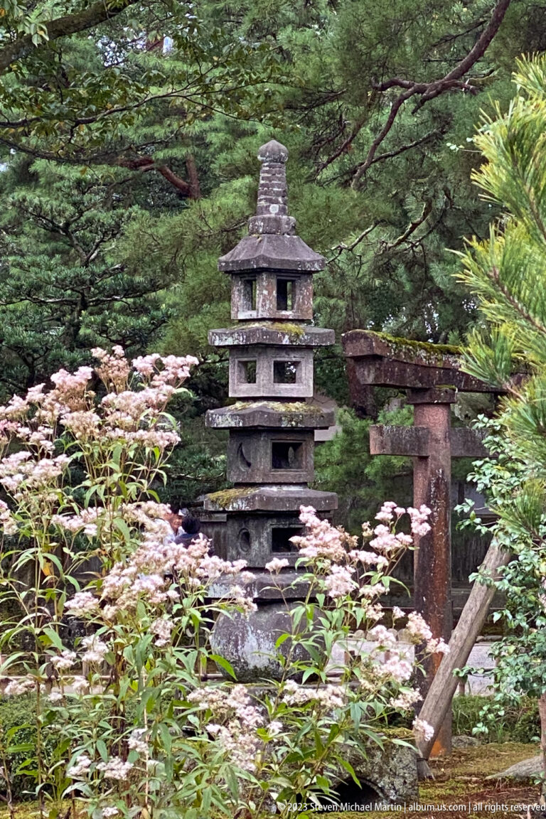 Dark stone pagoda and torii appear through pale flowers and dense foliage in a garden.