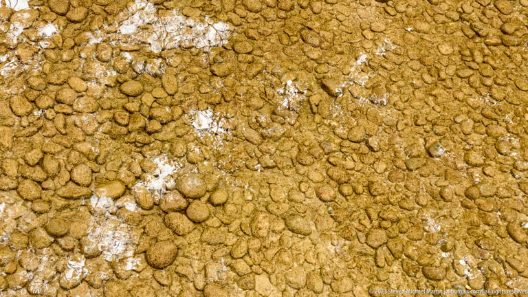 Close view of rounded aggregate embedded in a coarse tan surface with patches of pale mineral staining.