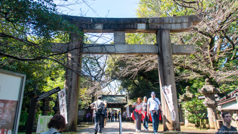 Visitors walk beneath a weathered stone torii on a wooded path lined with lanterns.