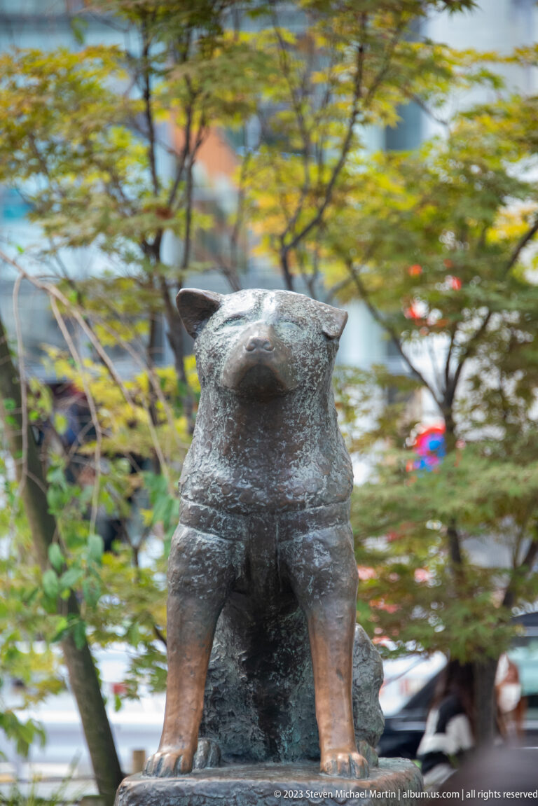 Bronze Hachikō dog statue on a stone pedestal amid trees near Shibuya Station.