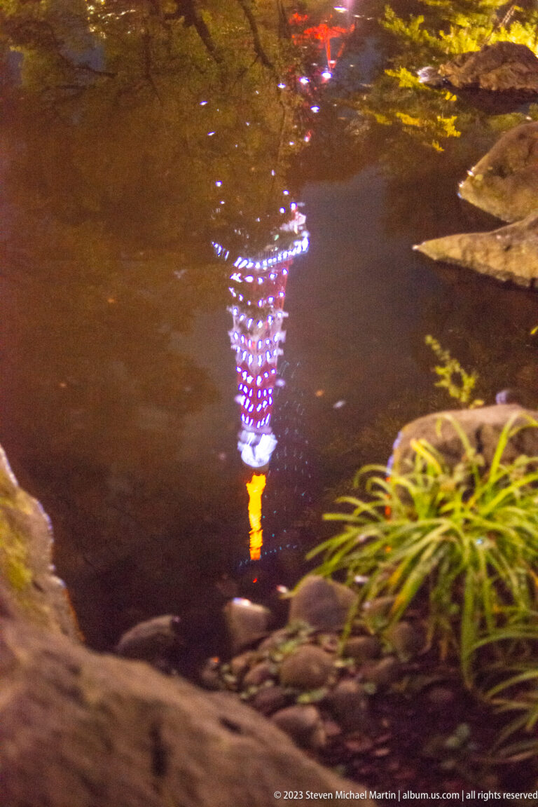 Upside-down colorful reflection of Tokyo Tower in a dark pond bordered by rocks and plants.