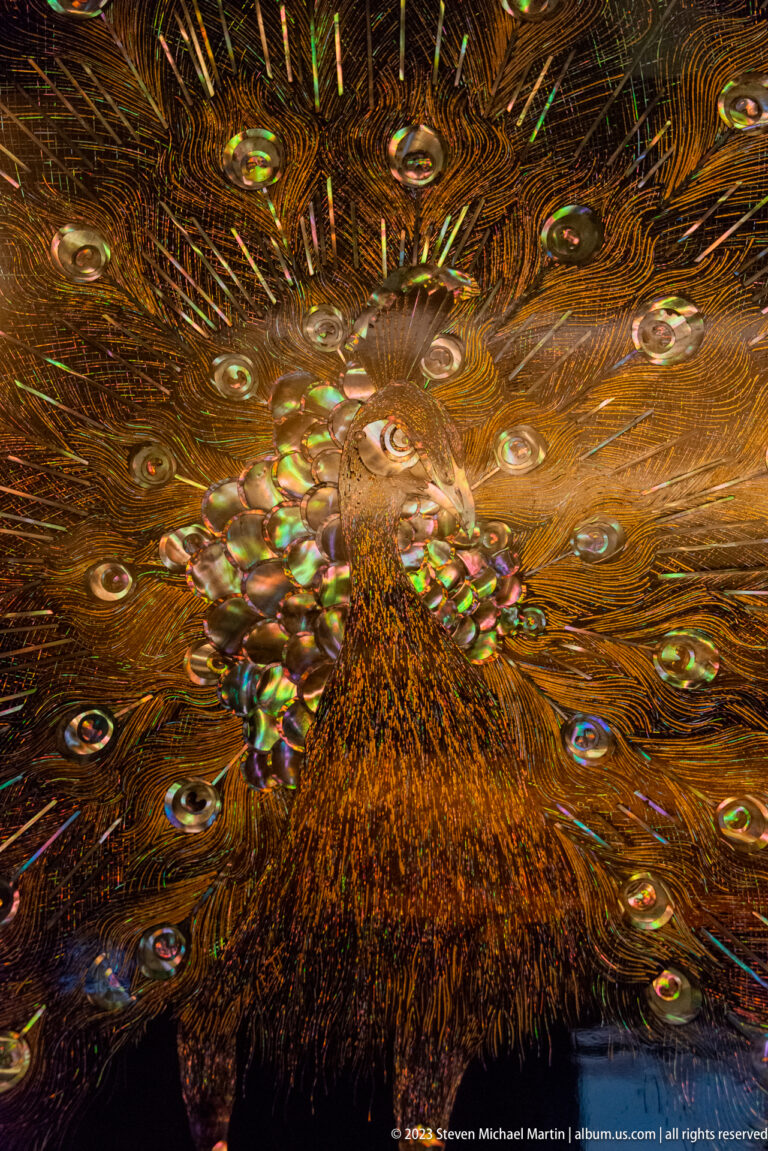 Large decorative peacock with an expansive tail of layered iridescent eye-feather motifs.